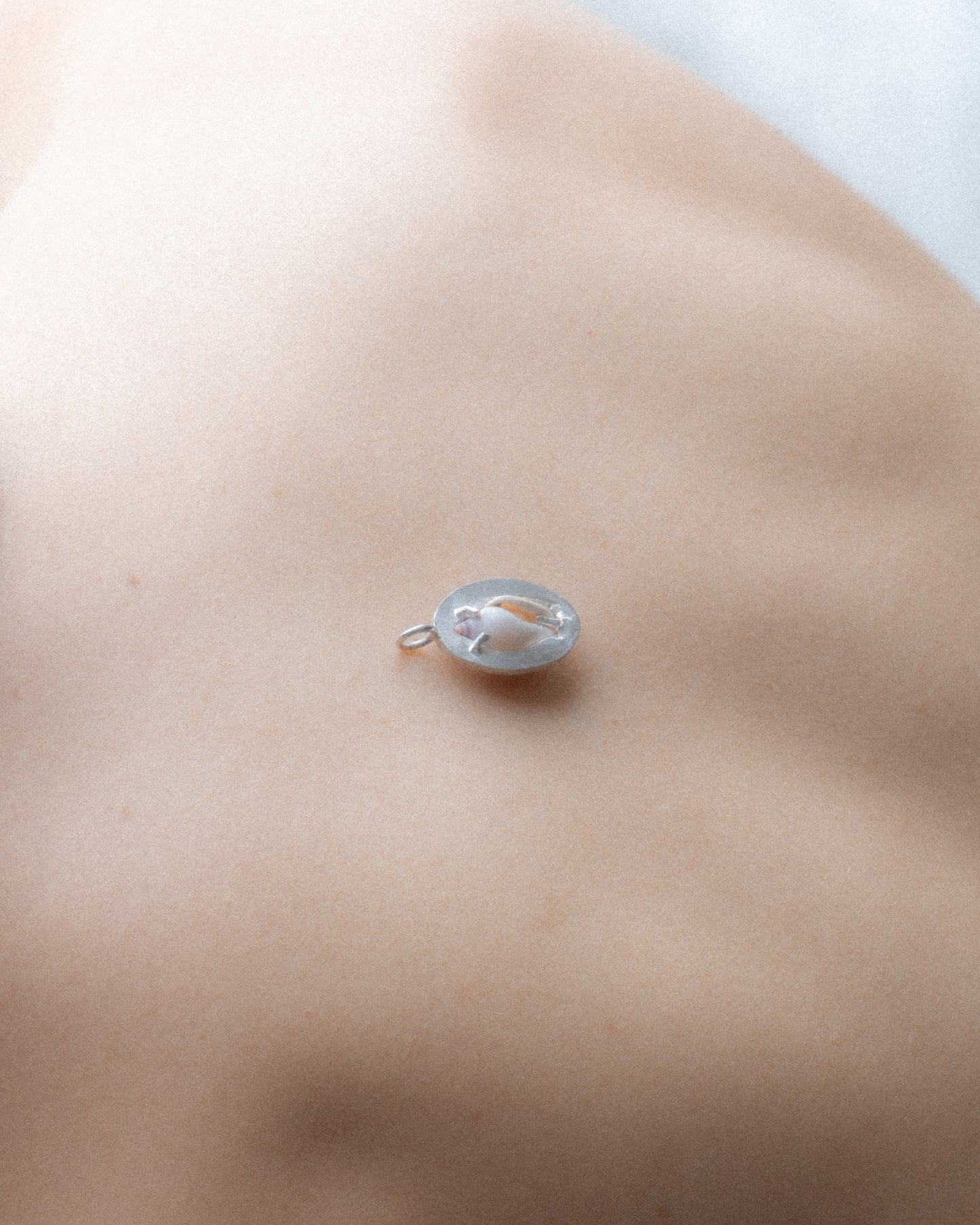 Dije Caracol