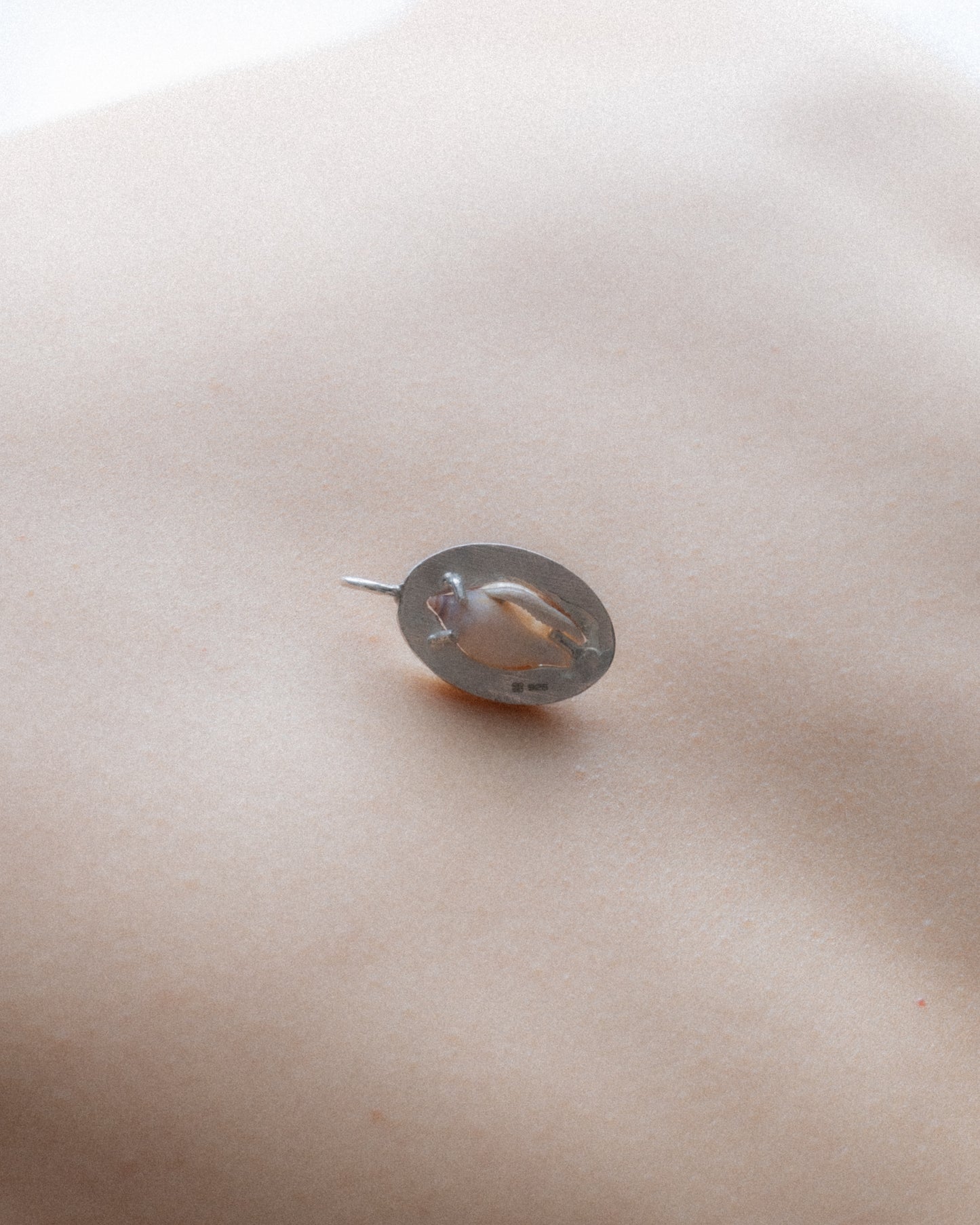 Dije Caracol